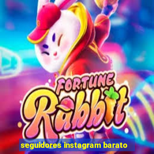 seguidores instagram barato